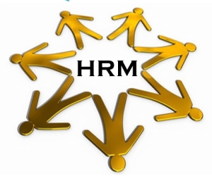 Human Resource Management Workplace