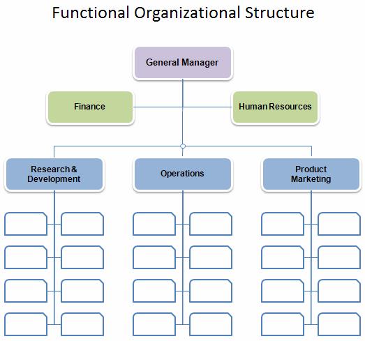Organizational Structure  2