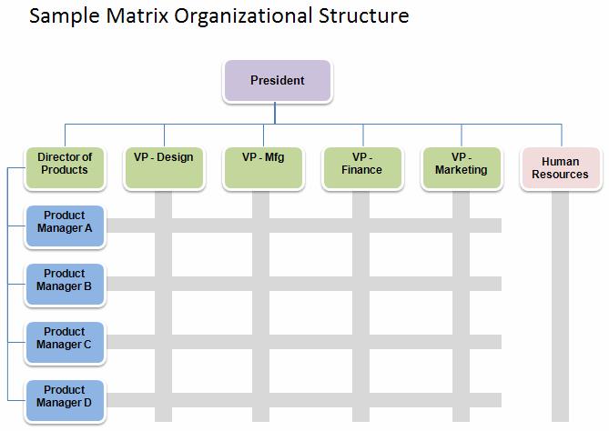 Organizational Structure  4