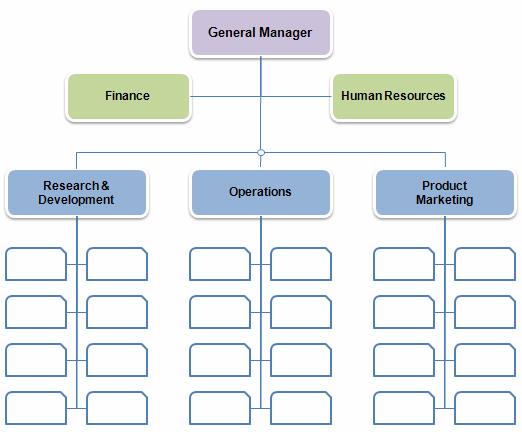 Organizational Structure  6