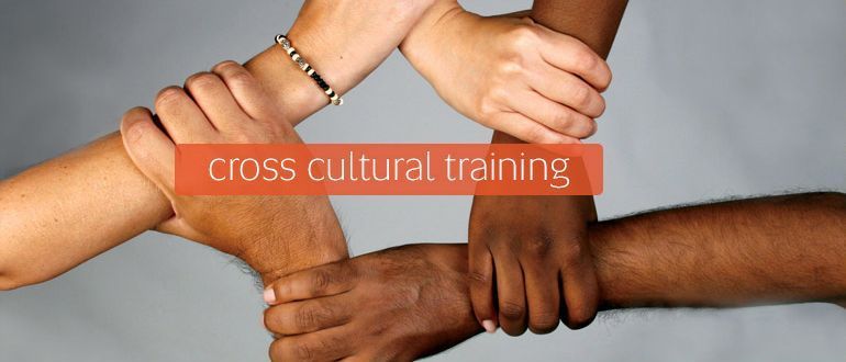 Cross Cultural Training Dissertation
