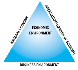 Economic Environment Dissertation
