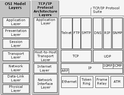 TCP/IP Architecture