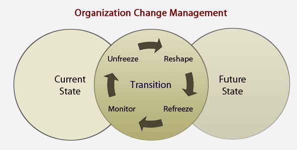 Management of Organisational Change