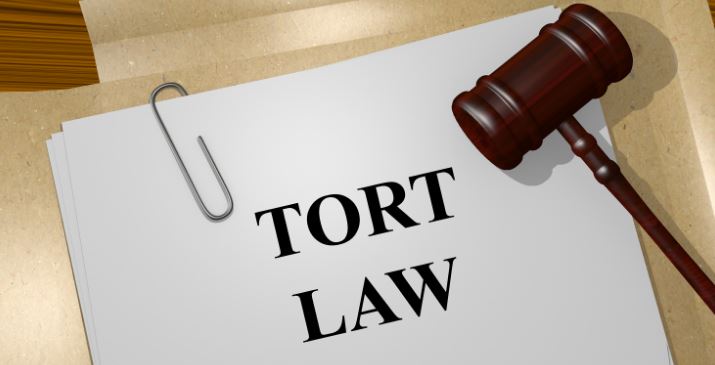 Tort Law Dissertations