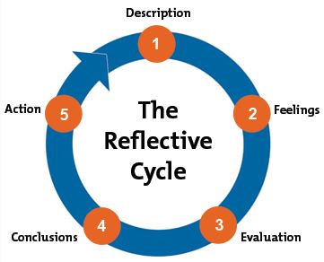 Reflective Model Belbin Theory