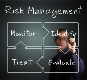 Risk Management Strategies Dissertation