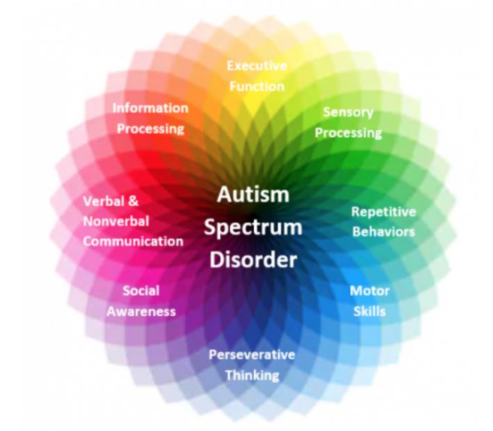 dissertation ideas autism